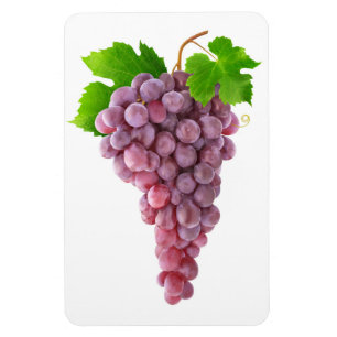 Pink grapes magnet