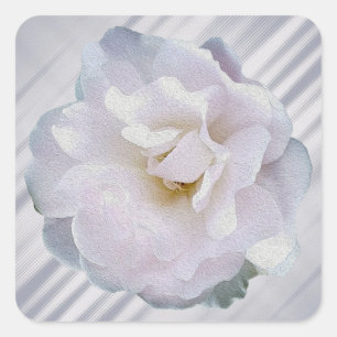 Pink gray rose square sticker