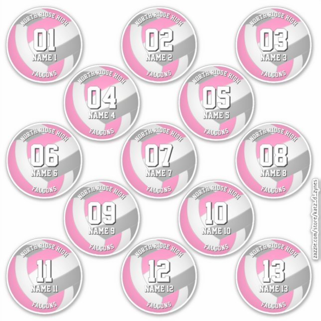 pink gray volleyball team stickers 13 athletes (Front)