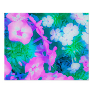 Pink, Green, Blue and White Garden Phlox Flowers Poster