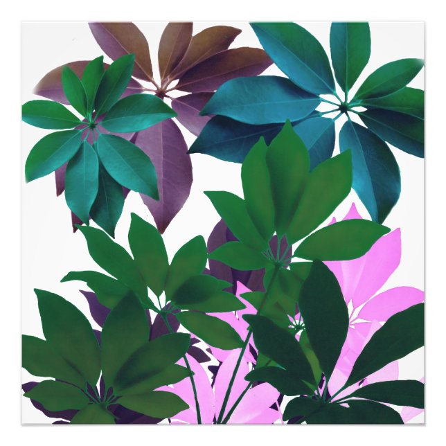 Pink & Green Leaf Art Professional Photo Paper Print (Front)