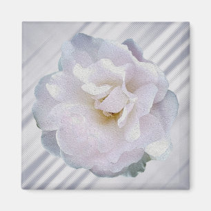 Pink grey rose magnet