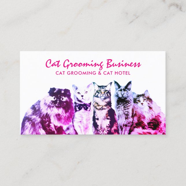 Pink Grooming Salon Spa Cats Business Card (Front)