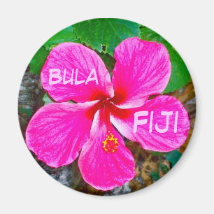 Pink Habiscus Magnet