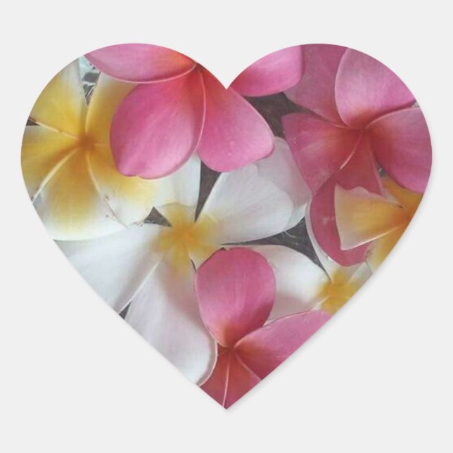 Pink, heart shaped Plumeria flower stickers (Front)