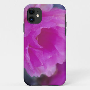 Pink Hedgehog Cactus blossom (Echinocereus iPhone 11 Case