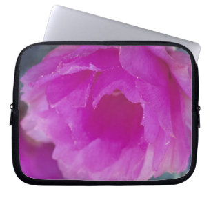 Pink Hedgehog Cactus blossom (Echinocereus Laptop Sleeve
