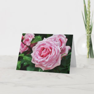 Pink Heirloom Roses Scripture Card 2 Peter 1:2