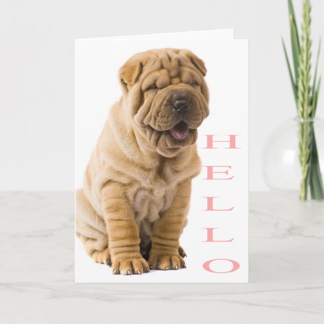 Pink Hello Shar Pei Puppy Dog Blank Card (Front)