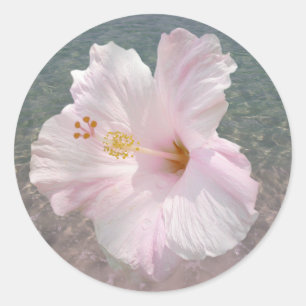 Pink Hibiscus and Ocean Water Sticker