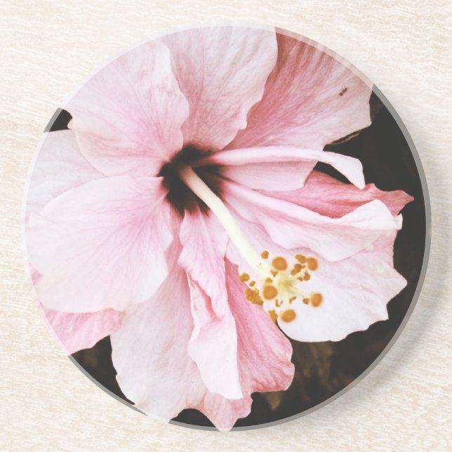 Pink Hibiscus Coaster (Front)