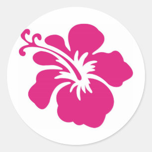 Pink Hibiscus Design Classic Round Sticker