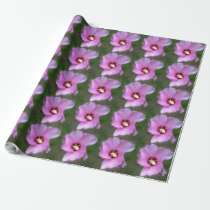 Pink Hibiscus, Digital Art Wrapping Paper