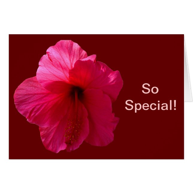 Pink Hibiscus Flower (Front Horizontal)