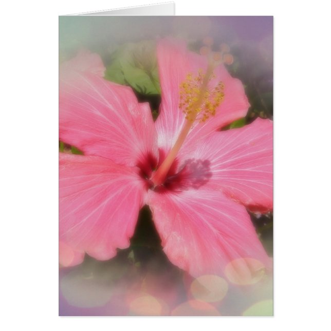 Pink Hibiscus Flower (Front)