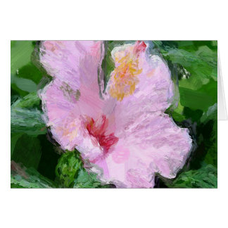 Pink Hibiscus Flower