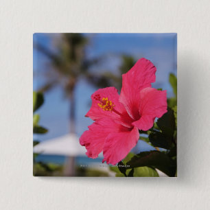 Pink hibiscus flower 15 cm square badge