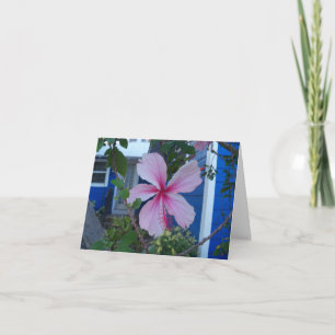 Pink hibiscus flower and blue beach cottage Card