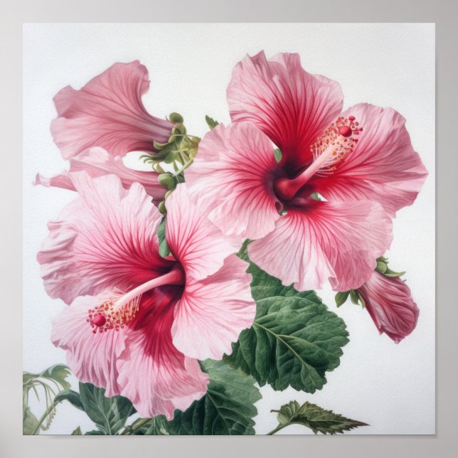Pink Hibiscus Flower Art Print Poster (Front)