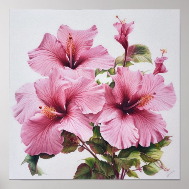 Pink Hibiscus Flower Art Print Poster (Front)