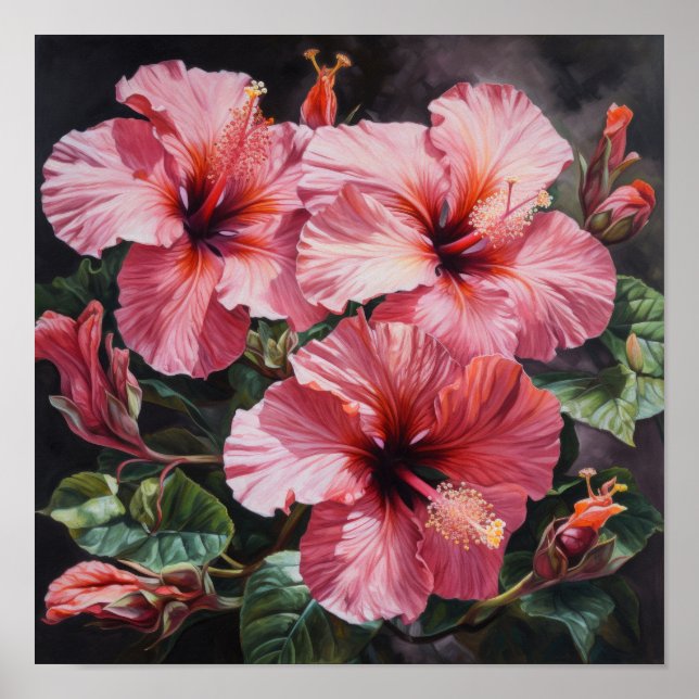 Pink Hibiscus Flower Art Print Poster (Front)