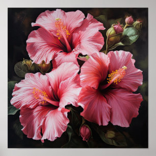 Pink Hibiscus Flower Art Print Poster