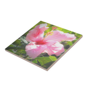 Pink Hibiscus Flower Ceramic Tile