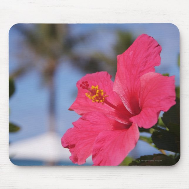 Pink hibiscus flower mouse pad (Front)