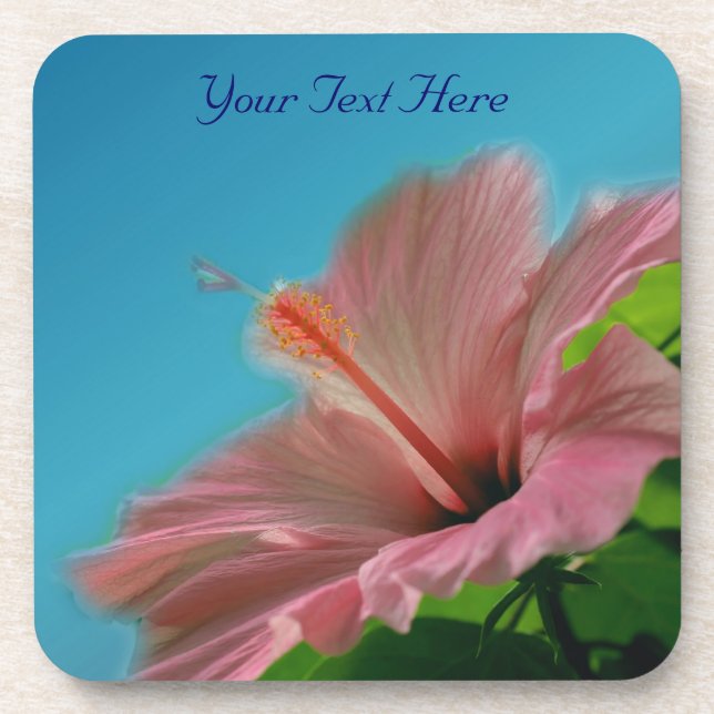 Pink Hibiscus Flower Nature Coaster Set (Front)