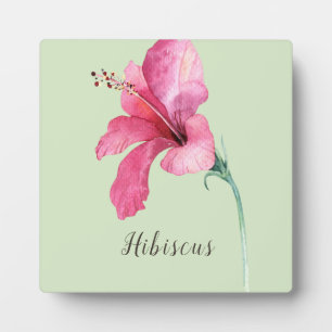 Pink Hibiscus Flower Watercolor Plaque