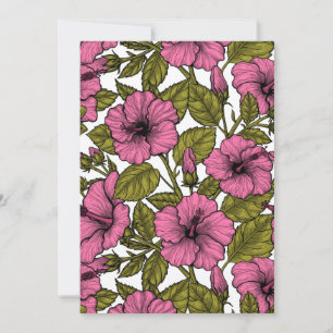 Pink hibiscus flowers
