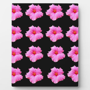 Pink Hibiscus Flowers On Black,_ Plaque