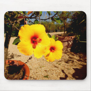 Pink Hibiscus Mouse Mat