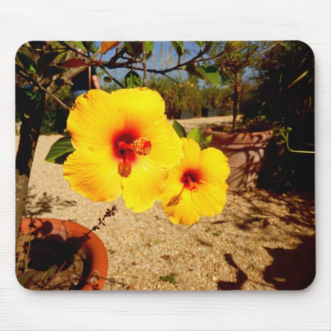 Pink Hibiscus Mouse Mat (Front)
