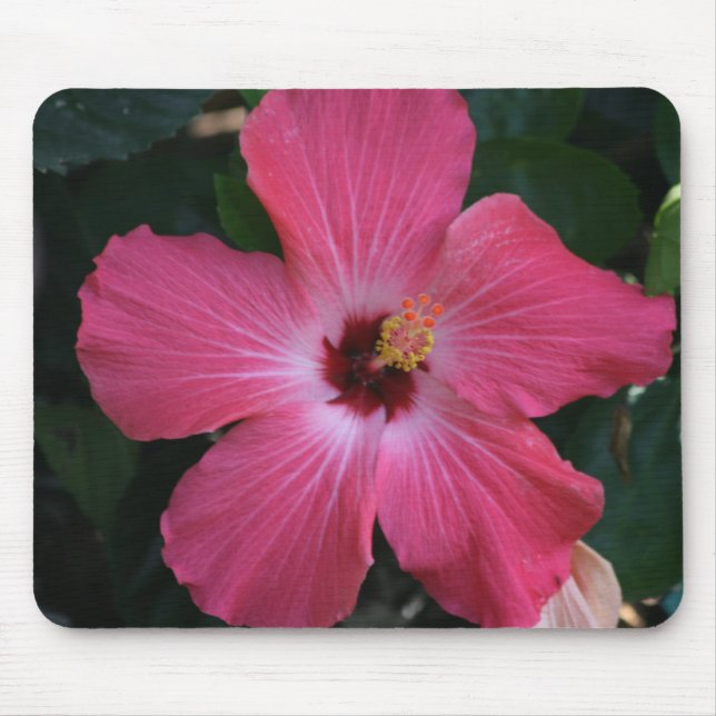 pink hibiscus mouse pad (Front)