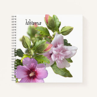 Pink hibiscus notebook