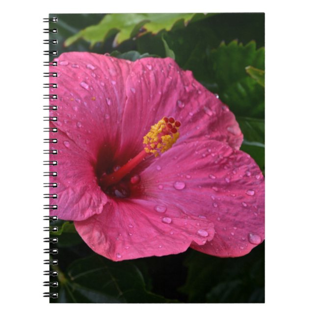 Pink Hibiscus Notebook (Front)