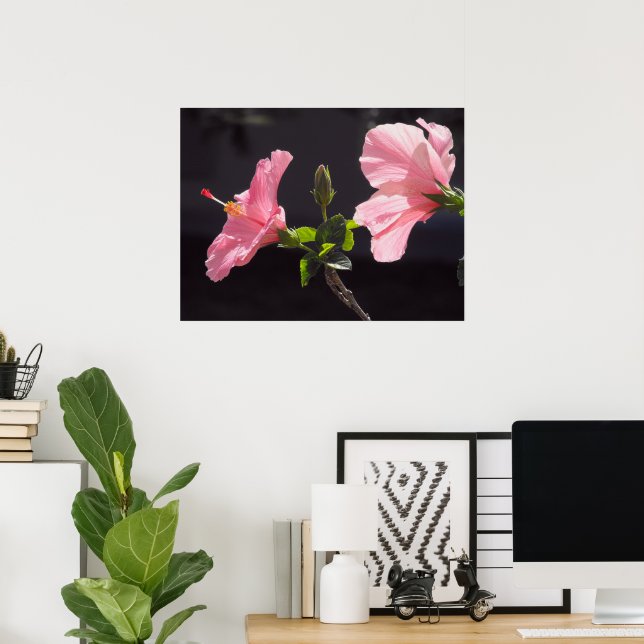 Pink Hibiscus on Black Poster (Home Office)