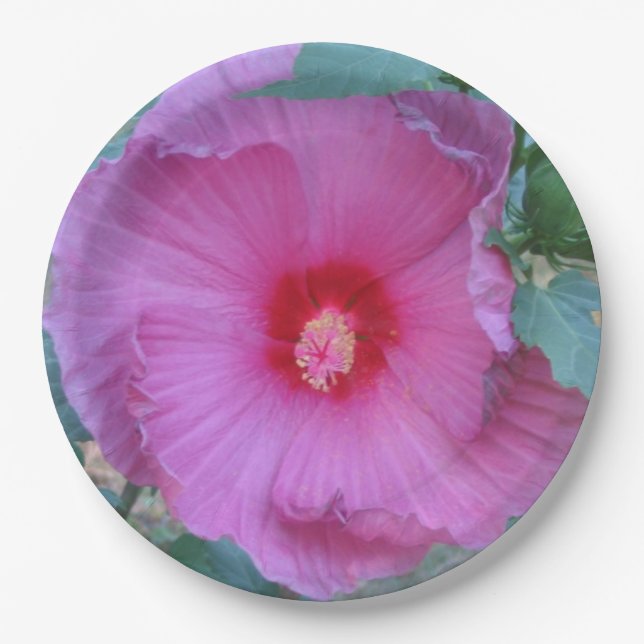 Pink Hibiscus Paper Plate (Front)