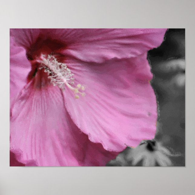 Pink Hibiscus Photo Painting Art Poster (Front)