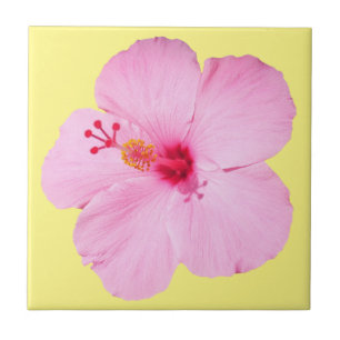 Pink Hibiscus Tropical Flower Ceramic Tile