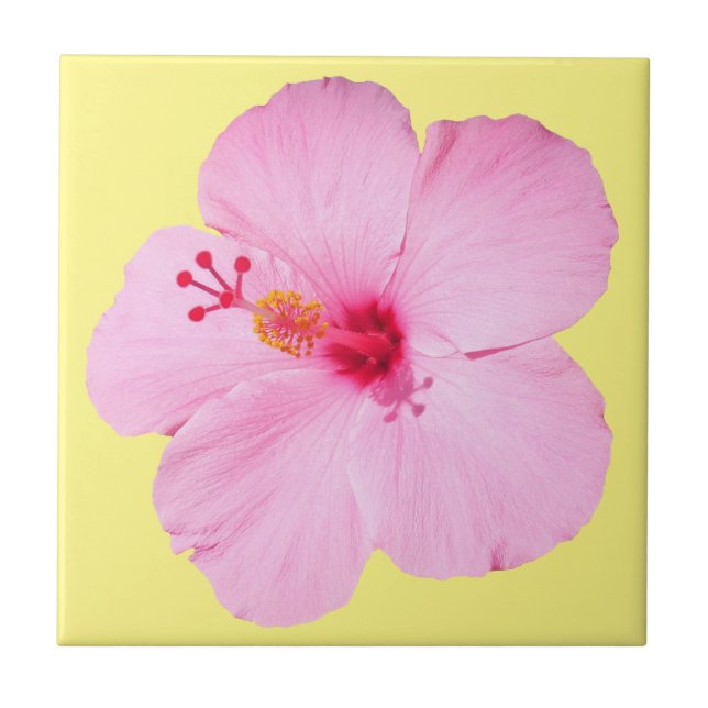 Pink Hibiscus Tropical Flower Ceramic Tile (Front)
