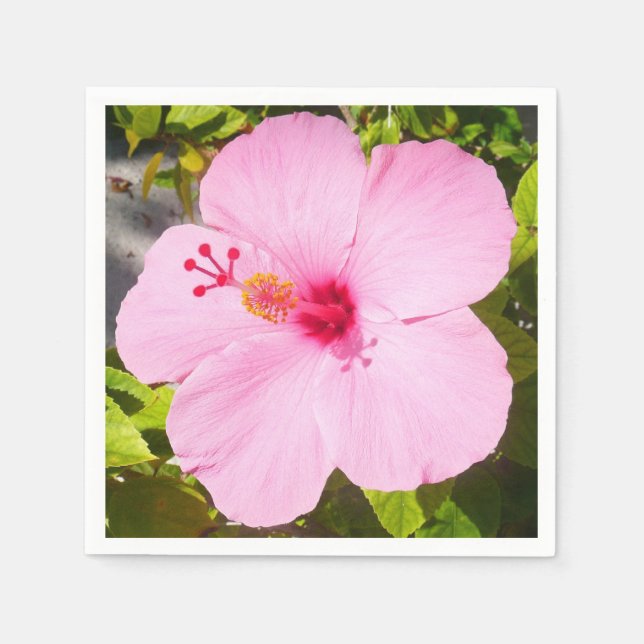 Pink Hibiscus Tropical Flower Napkin (Front)