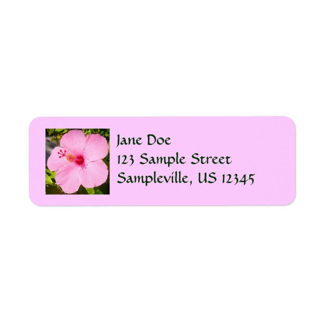 Pink Hibiscus Tropical Flower Return Address Label (Front)