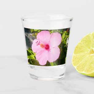 Pink Hibiscus Tropical Flower Shot Glass