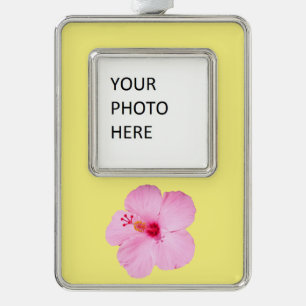 Pink Hibiscus Tropical Flower Silver Plated Framed Ornament