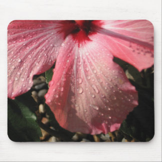 Pink Hibiscus Water Drops Mouse Pad