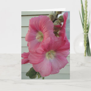Pink Hollyhock, Birthday Beautiful Lady Card