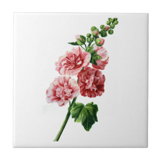 Pink Hollyhock Drawn From Nature Ceramic Tile