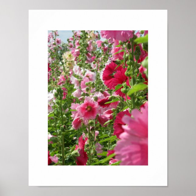 Pink Hollyhocks: Japan Poster (Front)